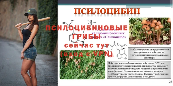 прущий лед Медвежьегорск