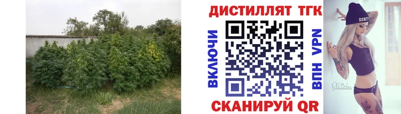 что такое наркотик  Мензелинск  Дистиллят ТГК концентрат 