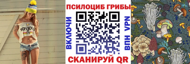Псилоцибиновые грибы Magic Shrooms  mega сайт  Мензелинск 