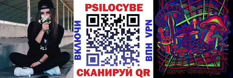 Псилоцибиновые грибы Psilocybe Мензелинск